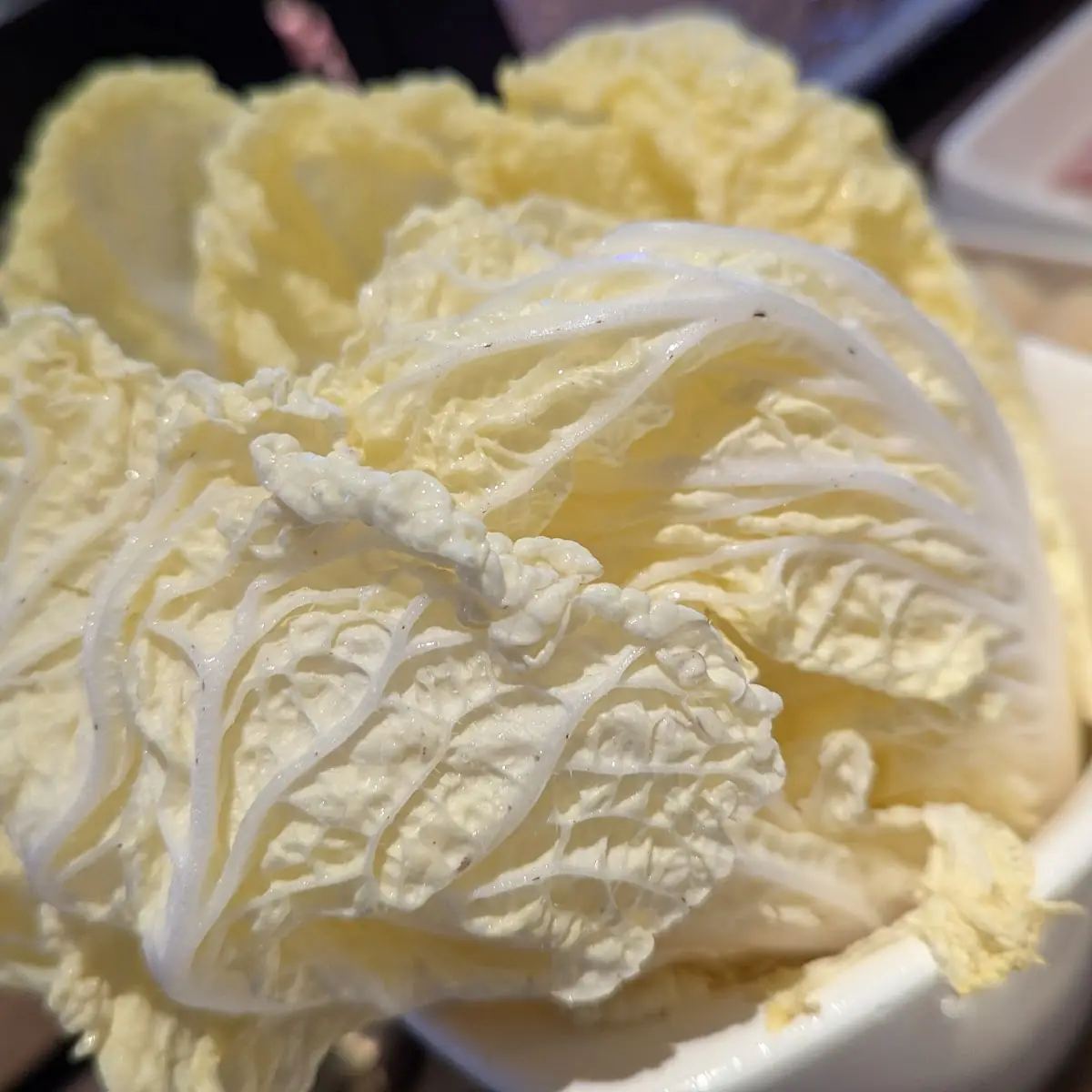 Napa Cabbage 大白菜